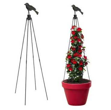 Plant Support